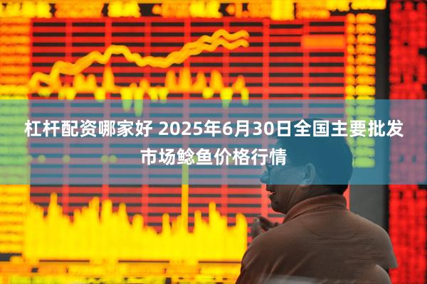 杠杆配资哪家好 2025年6月30日全国主要批发市场鲶鱼价格行情