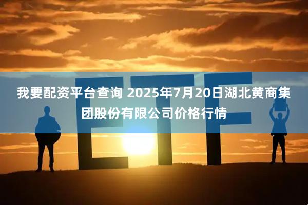 我要配资平台查询 2025年7月20日湖北黄商集团股份有限公司价格行情